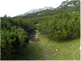 Planina Ravne - Kocbekov dom na Korošici